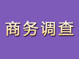 花垣商务调查